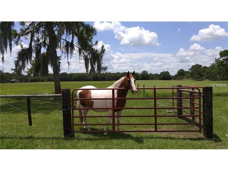 
Ranch For Sale with 81 acres in Polk County, FL - $737,000 


 